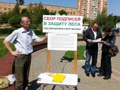 Сбор подписей за лес Фото: ecoreporter.ru